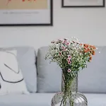 Vysoka 4* Братислава