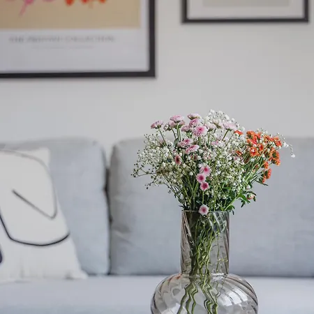 Vysoka 4* Bratislava